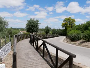 Doñana, El Rocío, Seville + Family + Friends and Rest. - Image 5