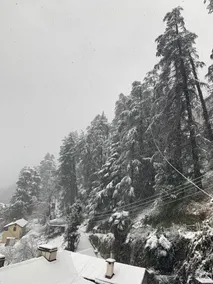 Shimla View Home - Image 4