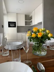 Luxury Flat in Brno - Image 4