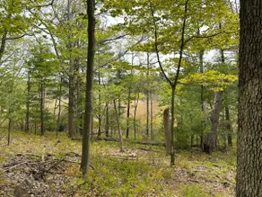 Ridge Point | Walk to Glen Arbor | Pet-Friendly | Close to Sleeping Bear Dunes - Image 4
