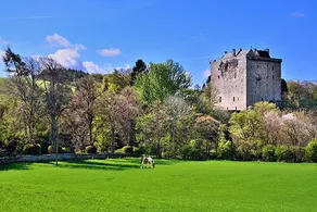 Rural Retreat just 30 mins from Edinburgh's centre - Image 5