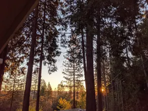 Peaceful Forest Retreat w/ Pool, Game Room, EV Charger. Pet friendly! - Image 4
