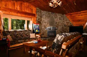 Cozy Cabin with fire pit hot tub centrally located - Image 2