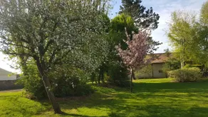 Gîte de L'Oliviade - French Country Farmhouse - Image 5