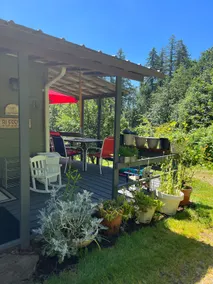 The Grey House- 1200 sq ft of bliss. - Image 4