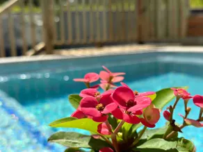 6 min walk to beach / private pool/ AC - Image 5