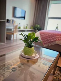 Nesh by Merakii—Your perfect studio home! - Image 5