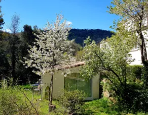 Beautiful studio surrounded by nature - Image 4