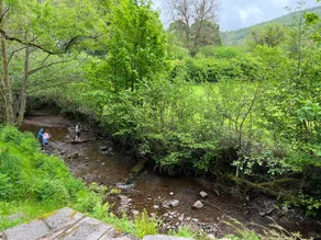 Tan Y Cestyll, Beautiful Cottage with Stream - Image 4
