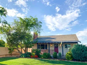 A house in the orange grove - Image 4
