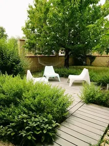 B&B Herba Salvia - Image 5