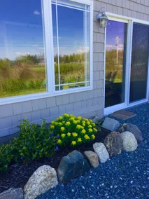 Welcome to Seashells! Maine, at its best! - Image 5
