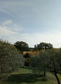 Country house at the foot of Ventoux - Image 2