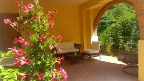 Sunny Beauty - Image 5