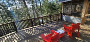 Pet-Friendly Waterfront Cabin | Canoe, Kayak, SUP - Image 3