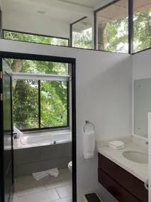 Stunning Arenal Volcano Views Villa Palmito - Image 4