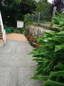 RURAL APARTMENT IN COASTAL AREA (TAGLE-SUANCES) - Image 5