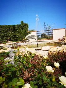 Appartamento IN VILLA - Image 4