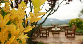 La Pallera: farmhouse with endless views - Image 5
