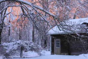 Cozy Quiet Back House - Image 4