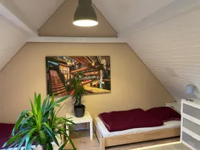 Top Apartement 1 Air Condition BVB, Messe, Park - Image 3