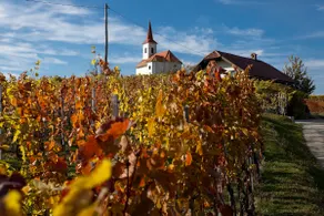 Cottage in the vineyard, airport transfer,car rent - Image 5