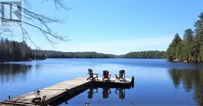 Waterfront cottage on beautiful East Moore lake!! - Image 2