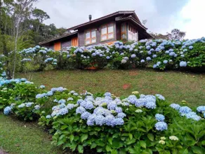 Country House in Rancho Queimado - Image 3