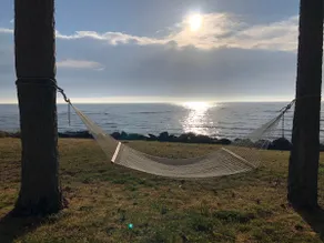 Private point on the Bay🌤hammock, hot tub, kayaks❤️ - Image 5