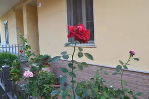 Casa Rovere Perugia - Image 4