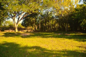 SÍTIO DOS BARROS - Image 2