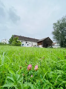 Farmhouse on the Sallingbach - Image 5