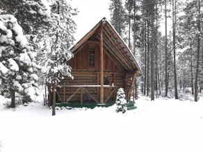 Rustic Little Log Cabin In The Woods - Image 2