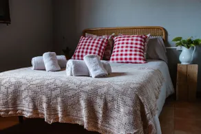 Las HORTENSIAS country house in the countryside - Image 3