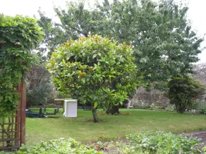 Nice independent T1 in beautiful Breton house - Image 3