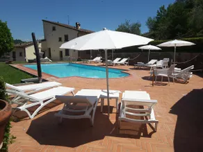 Classic Apartment n. 1 - 2 pp - Florence - Image 2