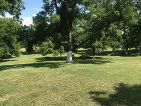 Die Ben Ranch Cabins befinden sich in einem jahrhundertealten Pecan Orchard - Image 3