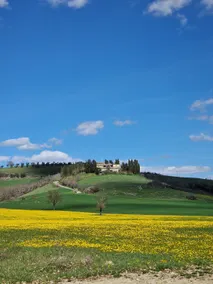 Pian'D'olmo, an ancient farmhouse in the heart of Tuscany - Image 3
