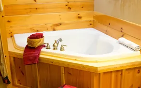 AAodge Suite with Kitchen and Fireplace - Image 3