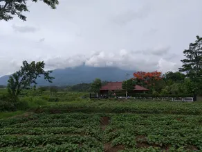 Cilimus Village with view of Ciremai Mountain - Image 3