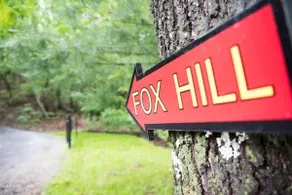 Fox Hill Cabin - Image 2