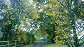 The Cartlodge ( a converted Suffolk Cartlodge) - Image 2