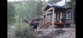 Honey Bear Creek Artists Mountain Retreat - Image 3