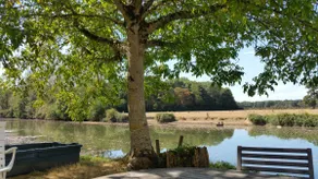 Beautiful outbuilding of the castle: THE PARK - Image 3