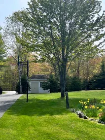 Muskoka Lakeview Retreat - Image 5