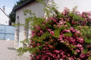 Country house in the heart of the vineyard - Image 3