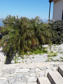 Twin Villas - Image 5