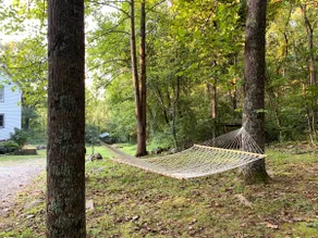 Hightop Hideaway, a cozy secluded mountain retreat. Pet-friendly, Shenandoah NP. - Image 4