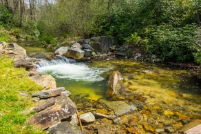 Private Riverfront Cabin: 9 Acres,  Trails to Waterfalls - Image 5