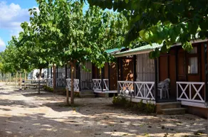 Mini - Wooden Cabin in Matarraña - Image 2